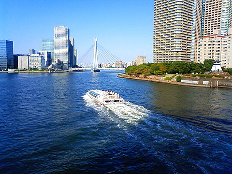 隅田川～佃大橋から永代橋方面