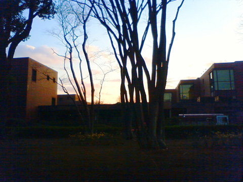 東京都美術館と夕陽