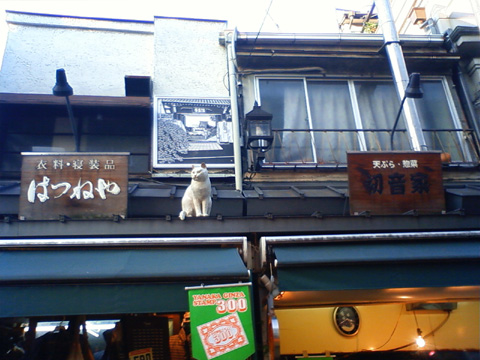 谷中ぎんざのシンボル！？