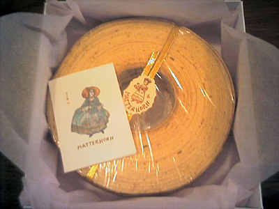 学芸大学 マッターホーン